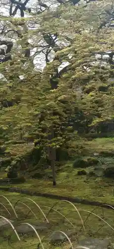 西善寺(埼玉県)