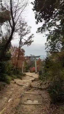 自玉手祭来酒解神社(京都府)
