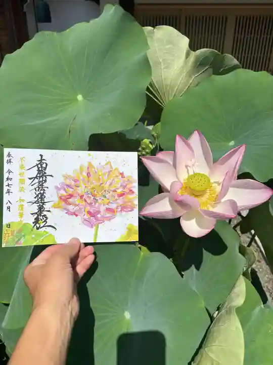 上行寺の御朱印