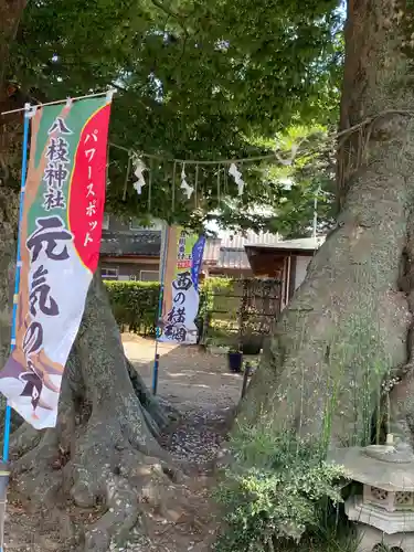 八枝神社(埼玉県)