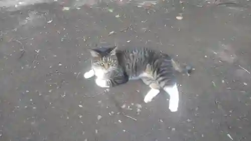 代々木八幡宮(東京都)