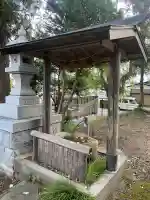 台渡里八幡神社の{uncategorized: "未分類", other: "その他", undefined: "問題あり", building: "その他建物", grave: "お墓", sacred_gate: "鳥居", guardian: "狛犬", statue: "像", buddha: "仏像", history: "歴史", nature: "自然", garden: "庭園", animal: "動物", pagoda: "塔", temizu: "手水舎", mountain_gate: "山門・神門", sanctuary: "本殿・本堂", subordinate: "末社・摂社", art: "芸術", scenery: "景色", jizo: "地蔵", ema: "絵馬", goshuin: "御朱印", omikuji: "おみくじ", items: "授与品その他", amulet: "お守り", goshuincho: "御朱印帳", eats: "食事", festival: "お祭り", votive_dance: "神楽", shichigosan: "七五三参", wedding: "結婚式", experience: "体験その他", initially: "初詣", around: "周辺", anti_infection: "感染症対策"}