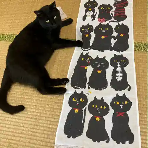 高司神社〜むすびの神の鎮まる社〜(福島県)