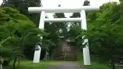 土津神社｜こどもと出世の神さまの鳥居