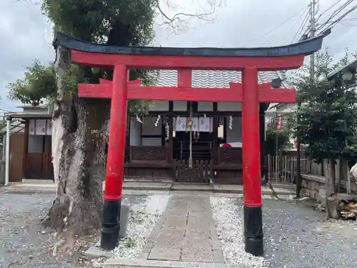 住吉神社(京都府)