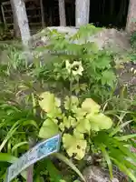 熊野堂神社の自然