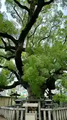 杭全神社(大阪府)