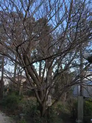 龍華寺(神奈川県)