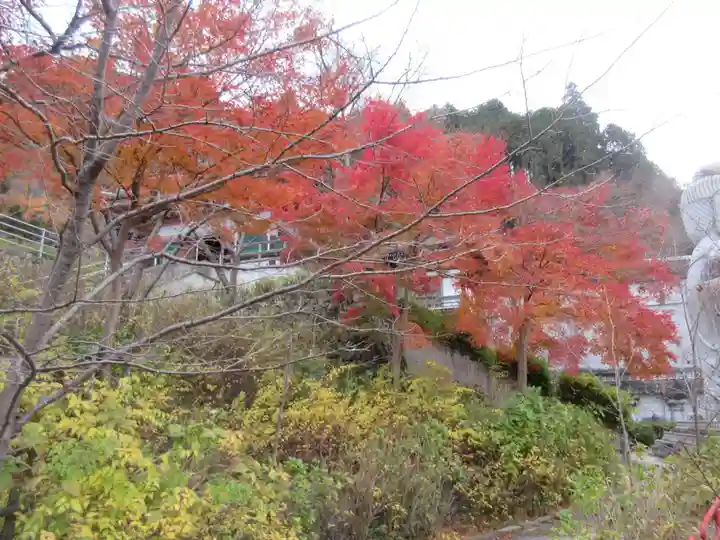 南法華寺(壷阪寺)(奈良県)
