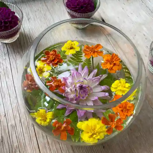 二尊院(京都府)