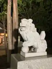 新琴似神社の狛犬