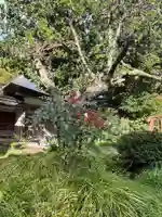 国上寺(新潟県)