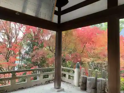 四條畷神社(大阪府)