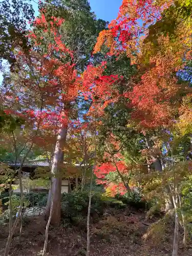 瓦屋寺の庭園