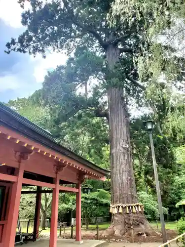 志波彦神社・鹽竈神社(宮城県)