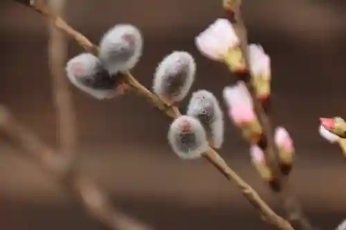 阿邪訶根神社の授与品その他