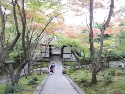 常寂光寺(京都府)
