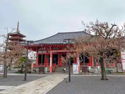 津観音の本殿・本堂