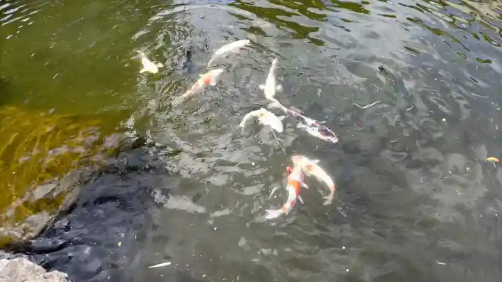 大室山龍渓院(静岡県)