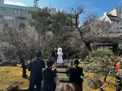 湯島天満宮(東京都)