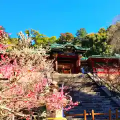 久能山東照宮(静岡県)