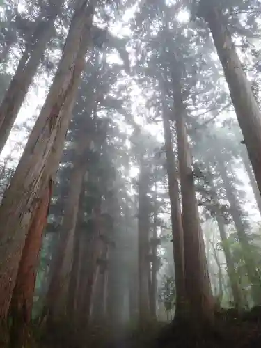 戸隠神社奥社(長野県)
