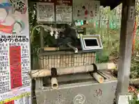 本木氷川神社の手水舎