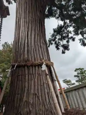 鼬幣稲荷神社(岩手県)