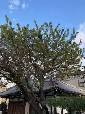 感通寺(東京都)