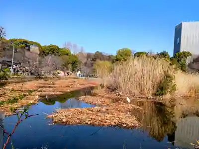 寛永寺不忍池弁天堂(東京都)