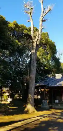 風早神社の自然