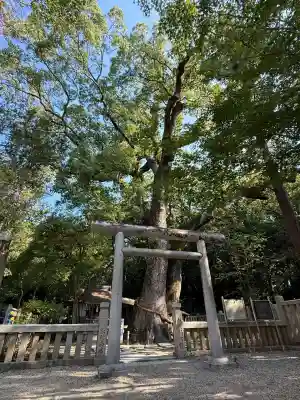 伊弉諾神宮(兵庫県)