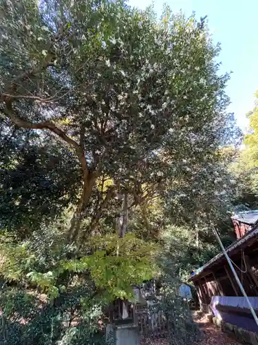 關蝉丸神社下社(滋賀県)
