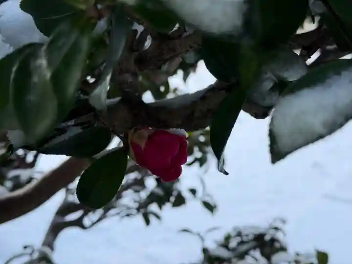西方山極楽寺(岐阜県)