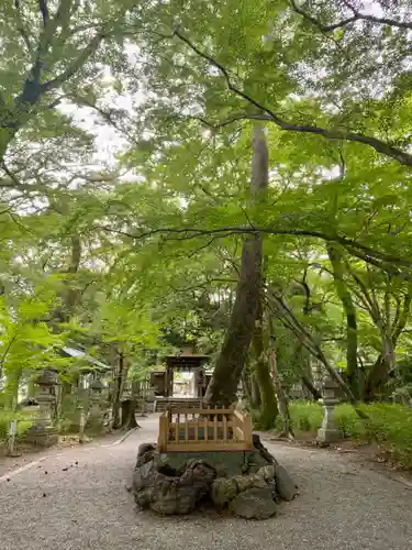 山内神社の自然