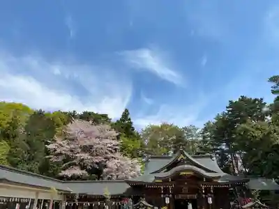 進雄神社のその他建物