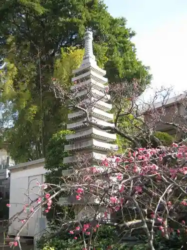 大久保山 自性院の塔