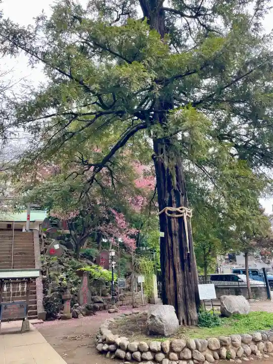 駒込富士神社の{uncategorized: "未分類", other: "その他", undefined: "問題あり", building: "その他建物", grave: "お墓", sacred_gate: "鳥居", guardian: "狛犬", statue: "像", buddha: "仏像", history: "歴史", nature: "自然", garden: "庭園", animal: "動物", pagoda: "塔", temizu: "手水舎", mountain_gate: "山門・神門", sanctuary: "本殿・本堂", subordinate: "末社・摂社", art: "芸術", scenery: "景色", jizo: "地蔵", ema: "絵馬", goshuin: "御朱印", omikuji: "おみくじ", items: "授与品その他", amulet: "お守り", goshuincho: "御朱印帳", eats: "食事", festival: "お祭り", votive_dance: "神楽", shichigosan: "七五三参", wedding: "結婚式", experience: "体験その他", initially: "初詣", around: "周辺", anti_infection: "感染症対策"}