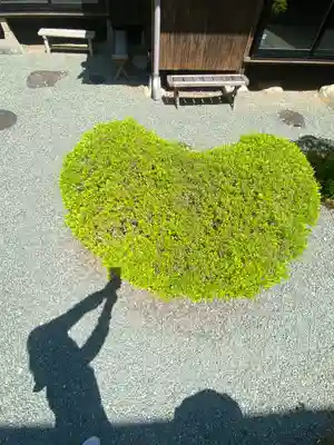 伝来寺のその他建物