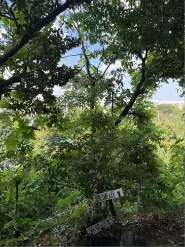 九重神社(埼玉県)