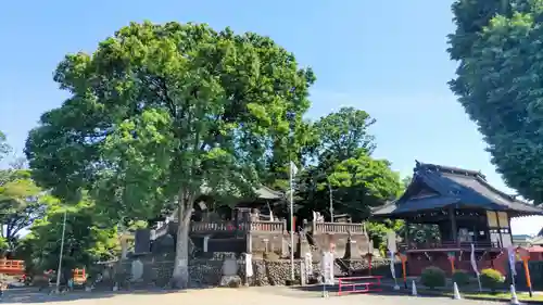 諏訪神社の御朱印