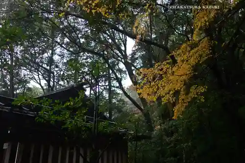 猿田彦神社(三重県)