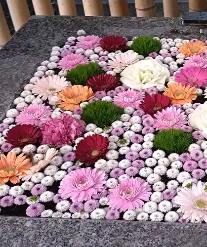 高円寺氷川神社(東京都)