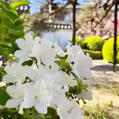 御霊神社(奈良県)