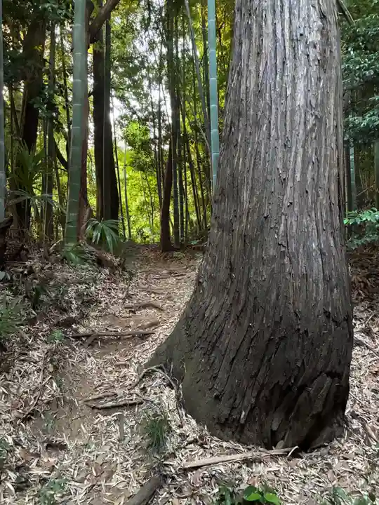 熊野神社(千葉県)