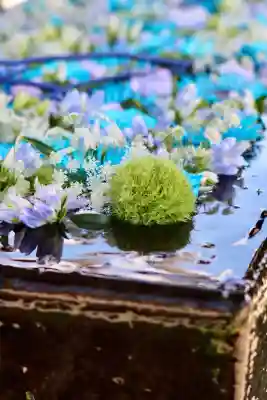 箭弓稲荷神社の{uncategorized: "未分類", other: "その他", undefined: "問題あり", building: "その他建物", grave: "お墓", sacred_gate: "鳥居", guardian: "狛犬", statue: "像", buddha: "仏像", history: "歴史", nature: "自然", garden: "庭園", animal: "動物", pagoda: "塔", temizu: "手水舎", mountain_gate: "山門・神門", sanctuary: "本殿・本堂", subordinate: "末社・摂社", art: "芸術", scenery: "景色", jizo: "地蔵", ema: "絵馬", goshuin: "御朱印", omikuji: "おみくじ", items: "授与品その他", amulet: "お守り", goshuincho: "御朱印帳", eats: "食事", festival: "お祭り", votive_dance: "神楽", shichigosan: "七五三参", wedding: "結婚式", experience: "体験その他", initially: "初詣", around: "周辺", anti_infection: "感染症対策"}