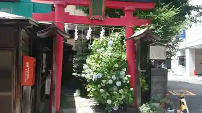 五十稲荷神社(栄寿稲荷神社)の鳥居