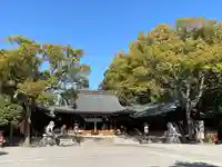 兵庫縣姫路護國神社の本殿・本堂