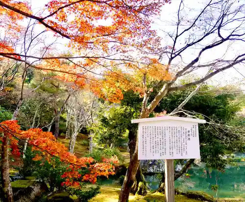 天龍寺の庭園