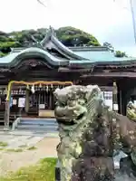 金刀比羅神社の狛犬